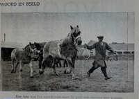 Tentoonstelling Het Nederlandse Trekpaard 2